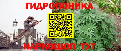 молекула духа Мариинск