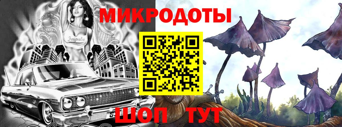 Псилоцибиновые грибы Psilocybe  Галлюциногенные грибы Psilocybe  купить наркотик  Вход с VPN  Кизляр 